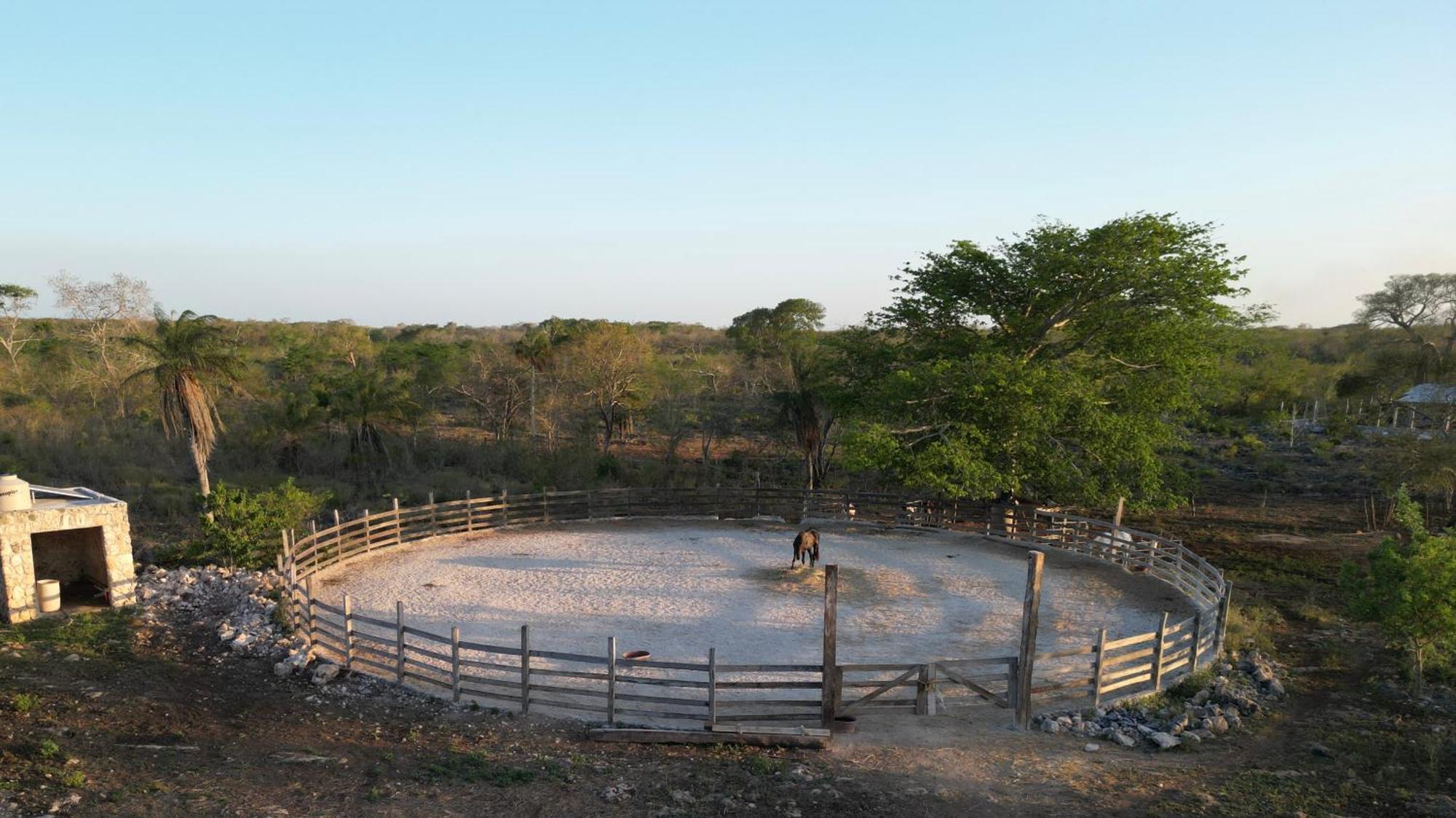 티지민 Casitas At Rancho Kuxtal 빌라 외부 사진
